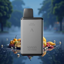 Adalya AD 10000 Puffs Berliner Nacht Wiederaufladbar USB-C Weltraumgrau