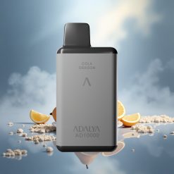 Adalya AD 10000 Puffs Englisch Lord Weltraumgrau USB-C