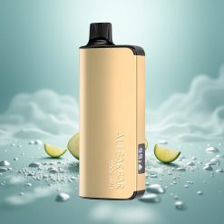 Alibarbar Ingot 9000 Züge Kühle Minze 2350mAh LED