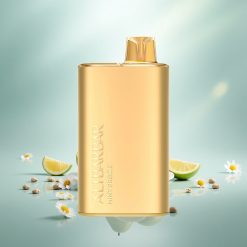 Alibarbar Rich 8000 Züge Minzbrise Einweg-Vape